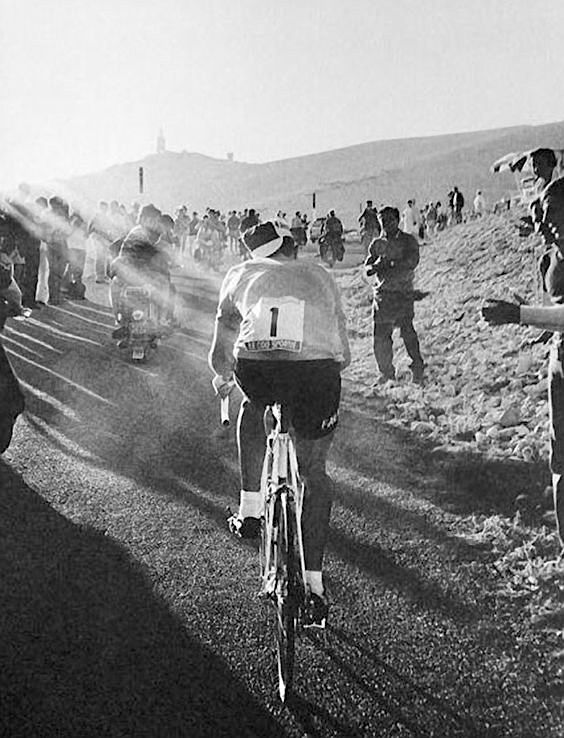 Eddy Merckx JoanSeguidor