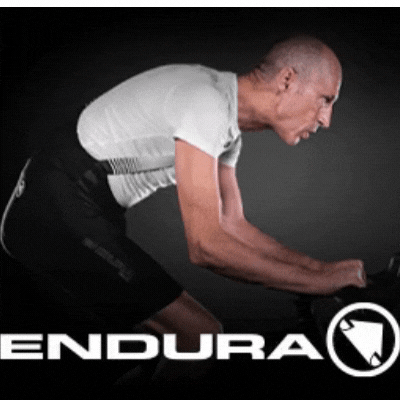 Endura 400×100